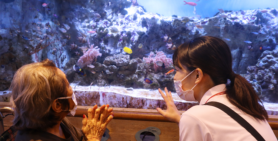 ウエルガーデン西が丘園「水族館」